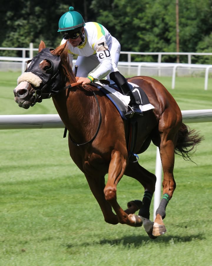 Featured image for “Melbourne Cup Day Luncheon: Celebrate in Style at Hill Top Golf Club”